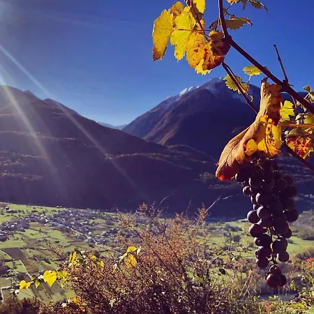 Ca Marinet 1931 - - Sondrio *