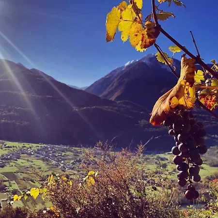 Ca Marinet 1931 - - Sondrio *